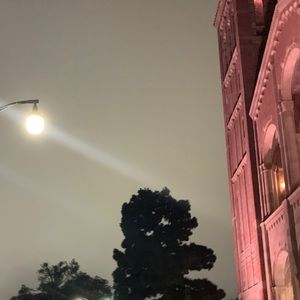 Meet your Posher, Andres